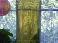 Rezept: Basilikumlikör Bild Nr. 14 Basilikumlikör - Rezept - Bild Nr. 14