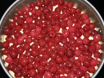 Rezept: Kirsch-Streuselkuchen Bild Nr. 4 Kirsch-Streuselkuchen - Rezept - Bild Nr. 4