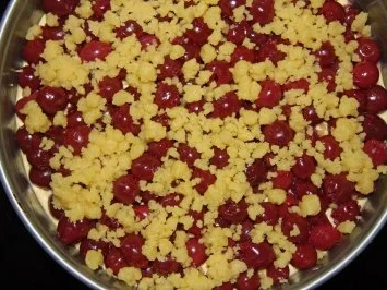 Rezept: Kirsch-Streuselkuchen Bild Nr. 5 Kirsch-Streuselkuchen - Rezept - Bild Nr. 5
