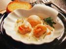 Jakobsmuscheln in feiner Soße - Rezept - Bild Nr. 2
