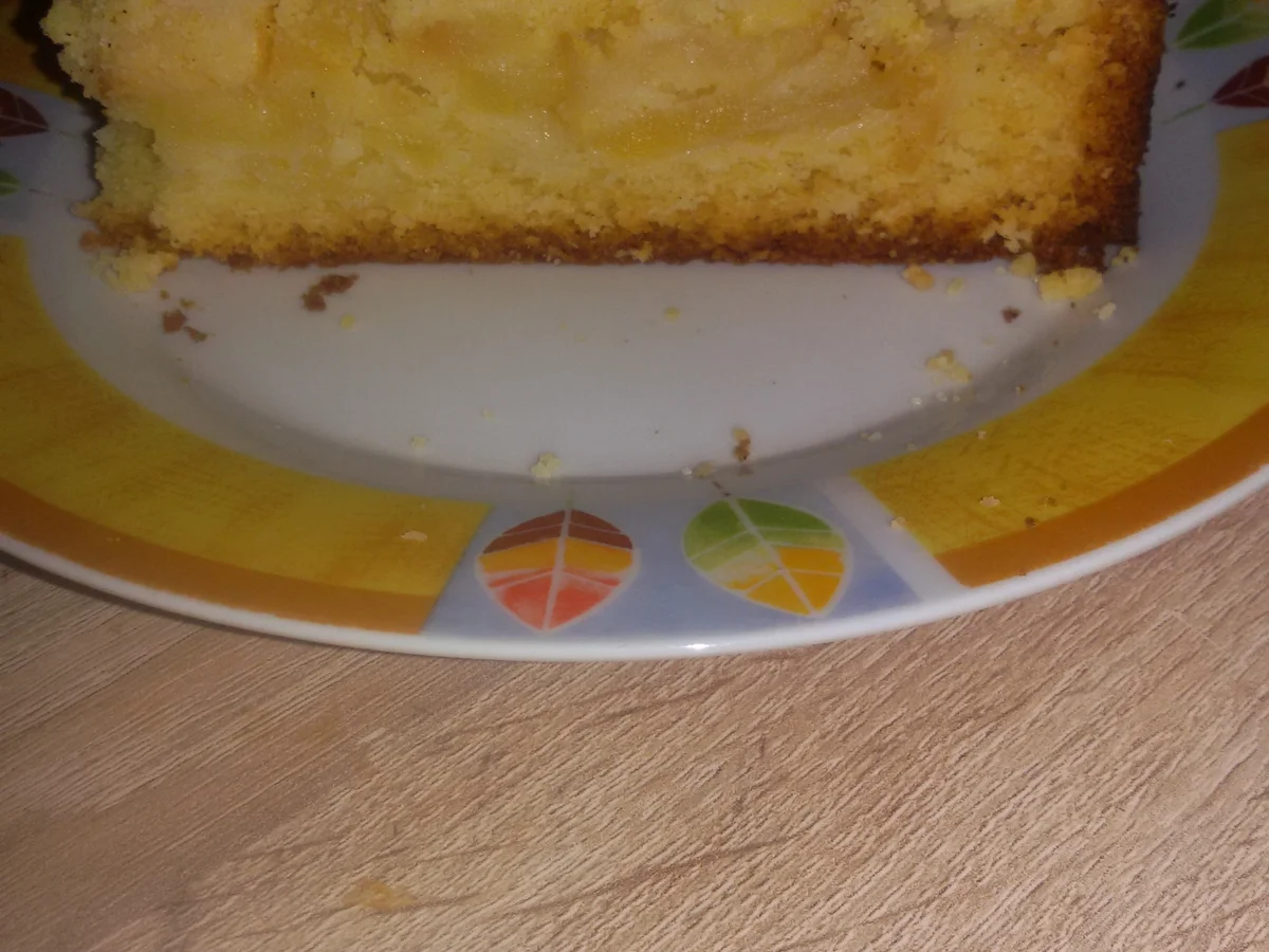 Obst-Streuselkuchen - Rezept - Bild Nr. 3755