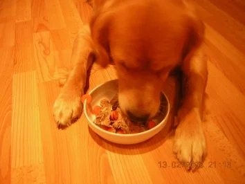 Dinner für Zwei ;-) - Rezept