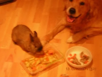 Dinner für Zwei ;-) - Rezept