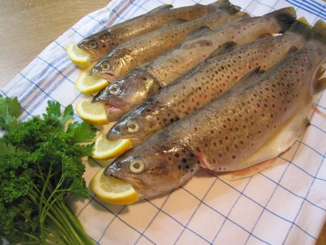 Gebackene Bachforellen ... - Rezept - Bild Nr. 2