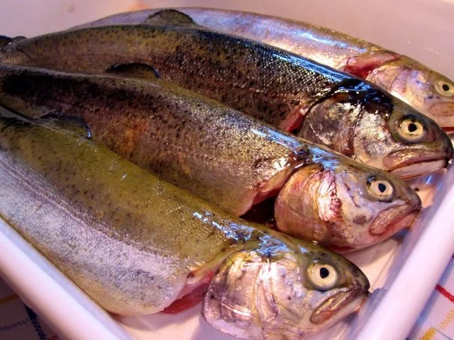 Gebackene Bachforellen ... - Rezept