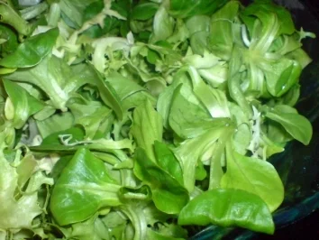 Rezept: Blattsalat Blattsalat - Rezept