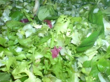 Rezept: Blattsalat Blattsalat - Rezept