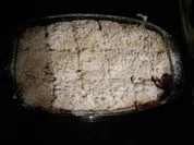 Kuchen: Streusel-Käsekuchen mit Obst - Rezept