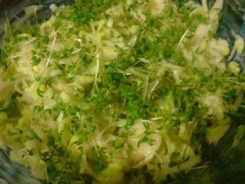 Apfel-Porree-Salat, pikant - Rezept