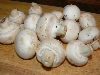 Herz zu verschenken  - Champignonrisotto mit überbackenen Minutenschnitzel - Rezept