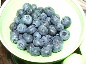 Rezept: Schnelles Heidelbeerdessert - nicht nur für kleine Naschkatzen Schnelles Heidelbeerdessert - nicht nur für kleine Naschkatzen - Rezept