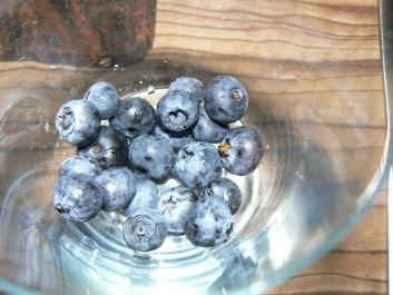 Rezept: Schnelles Heidelbeerdessert - nicht nur für kleine Naschkatzen Schnelles Heidelbeerdessert - nicht nur für kleine Naschkatzen - Rezept