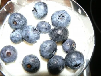 Rezept: Schnelles Heidelbeerdessert - nicht nur für kleine Naschkatzen Schnelles Heidelbeerdessert - nicht nur für kleine Naschkatzen - Rezept