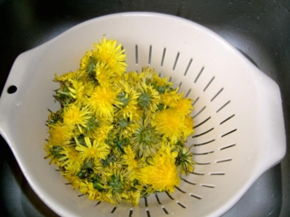 Löwenzahnsirup Rezepte