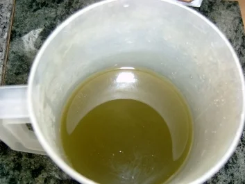 Wildkräuter: Löwenzahnsirup - Rezept - Bild Nr. 2