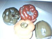 Gefüllte Paprika mit Bulgur - Rezept