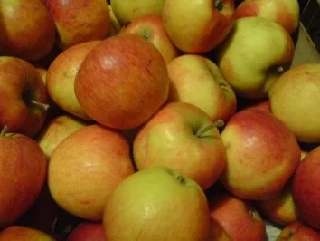 Rezept: Apfelkompott Bild Nr. 2 Apfelkompott - Rezept - Bild Nr. 2