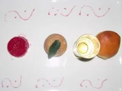 Entenleberparfait mit Brioche, Granatapfelgelee und einem Glas Lillet - Rezept