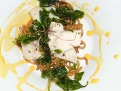 Pangasiusfilet auf asiatischem Nudelnest und scharfem Mangoschaum - Rezept