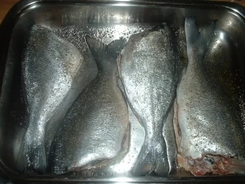 Dorade - Rezept - Bild Nr. 4