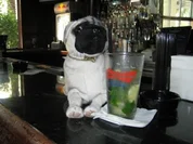 Mojito - Rezept