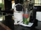Mojito - Rezept