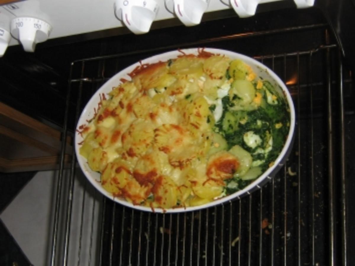 Kartoffel-Spinat-Gratin - Rezept mit Bild - kochbar.de