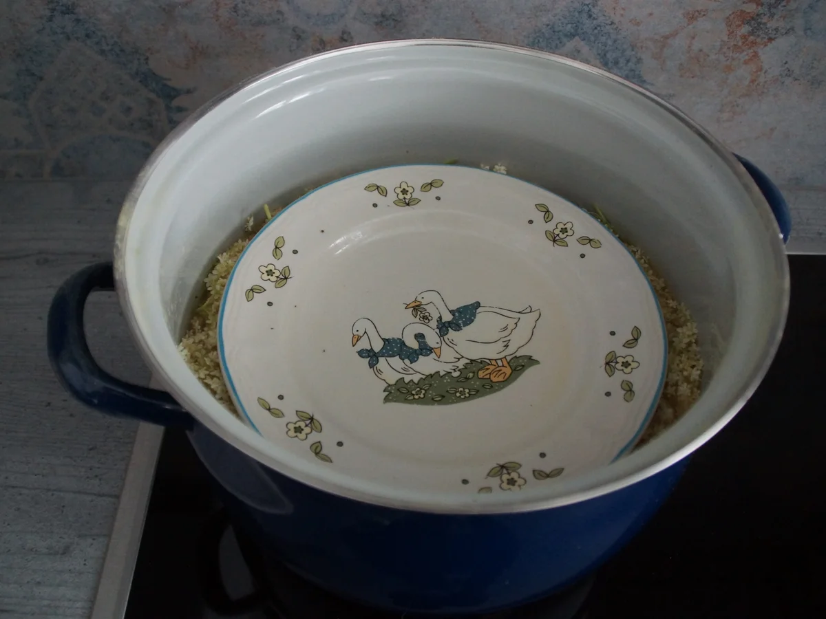 Holunderblütenmarmelade - Rezept - Bild Nr. 5835