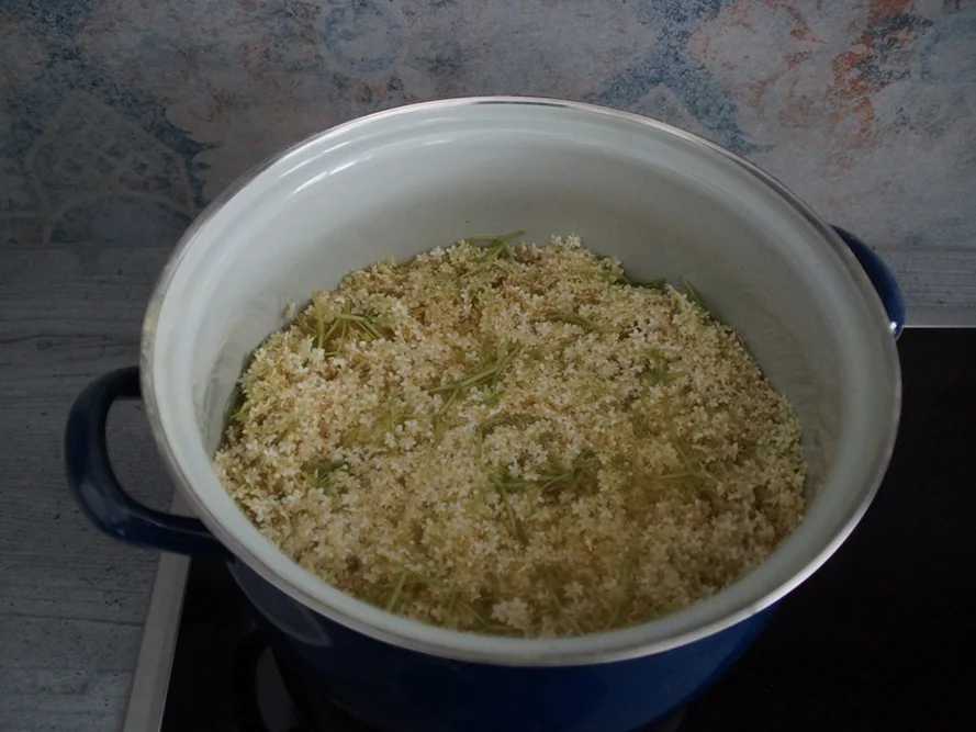 Holunderblütenmarmelade - Rezept - Bild Nr. 5836