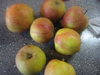 gefüllter Apfelkuchen - Rezept - Bild Nr. 9