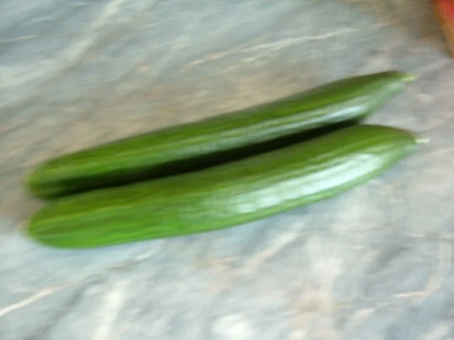 Rezept: Gemüse : SCHMORGURKEN IN SENF-DILLSOßE Bild Nr. 3 Gemüse : SCHMORGURKEN IN SENF-DILLSOßE - Rezept - Bild Nr. 3