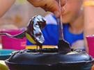 Turron-Nutella-Fondue mit Obst - Rezept