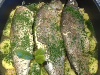 Forellen im Schmortopf - Rezept - Bild Nr. 4