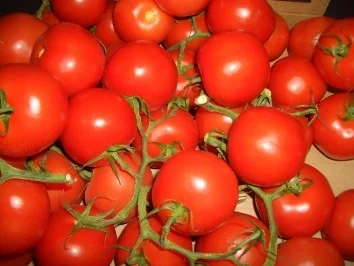 Rezept: Tomatensossenbasis Bild Nr. 2 Tomatensossenbasis - Rezept - Bild Nr. 2