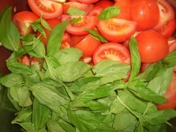 Rezept: Tomatensossenbasis Bild Nr. 9 Tomatensossenbasis - Rezept - Bild Nr. 9