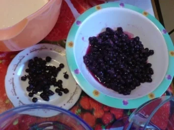 Blaubeertraum - Rezept