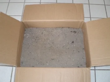 Alwins Entenbrust in der Holzasche gereift!!! - Rezept