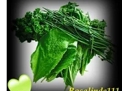 Kräuterkunde - Rezept