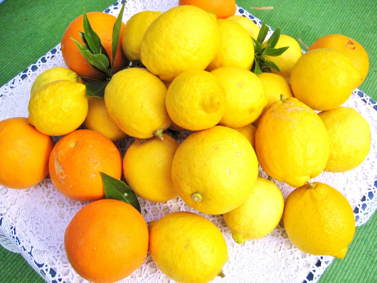 Bittere Zitronenmarmelade ... - Rezept - Bild Nr. 3482