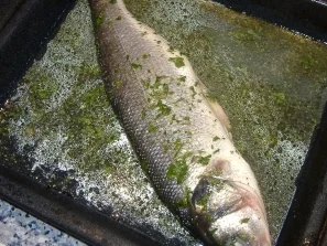 Wolfsbarsch mit Orangen - Rezept