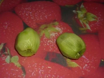 Rezept: Ananas-Kiwi-Eisbergsalat mit Ingwersose Bild Nr. 5 Ananas-Kiwi-Eisbergsalat mit Ingwersose - Rezept - Bild Nr. 5