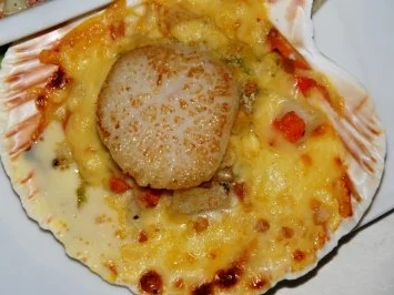 Rezept: JAKOBSMUSCHELN ÜBERBACKEN "Coquilles St Jacques au gratin" JAKOBSMUSCHELN ÜBERBACKEN "Coquilles St Jacques au gratin" - Rezept