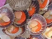 Jakobsmuscheln mit Ingwerbutter - Rezept