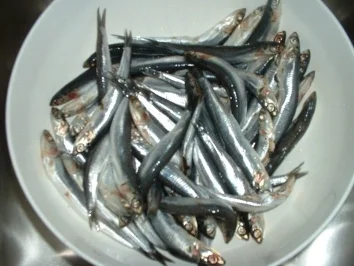 Alice fritte - Rezept - Bild Nr. 2