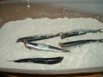 Alice fritte - Rezept - Bild Nr. 4