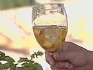 Tims Sangria - Rezept