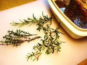 Rezept: Grillmarinade fรผr Schweinerippchen Grillmarinade fรผr Schweinerippchen - Rezept