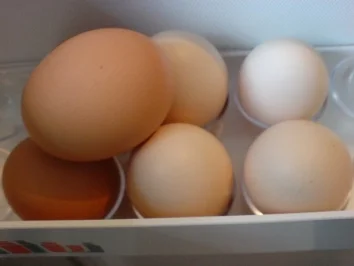 Raffiniertes Eier-Ragout mit Gemüse - Rezept