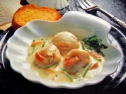 Feine Jakobsmuscheln - Rezept