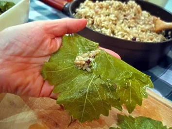 Gefüllte Weinblätter mit Hackfleisch - Rezept